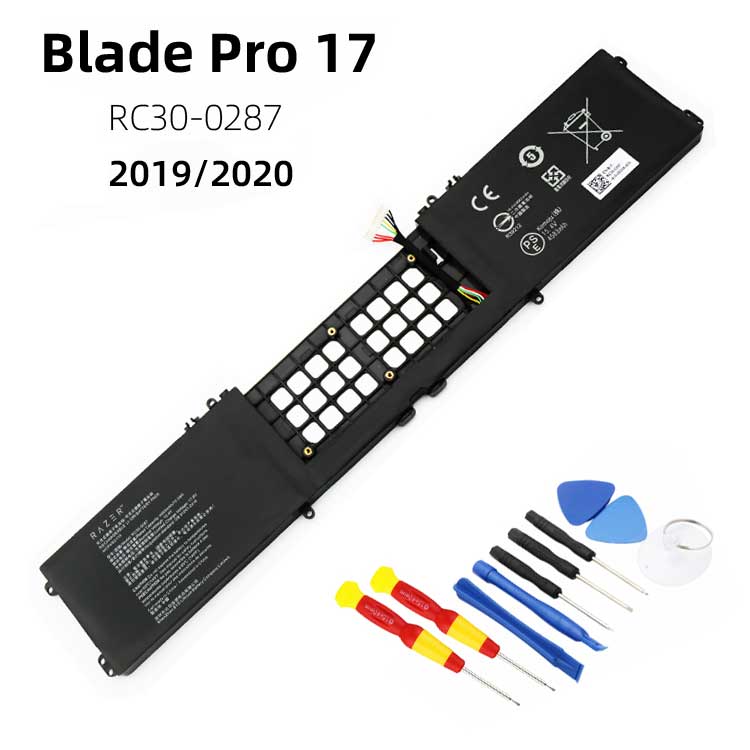 RC30-0287 Baterías