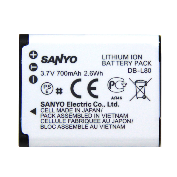 SANYO VPC-CG100 batería